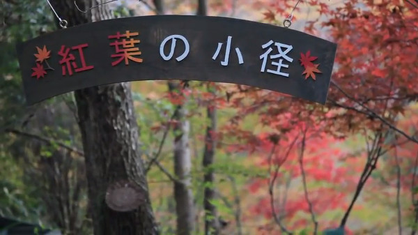 箱根ガラスの森美術館の紅葉の小径がそろそろ見頃かも 箱根温泉を楽しむブログ